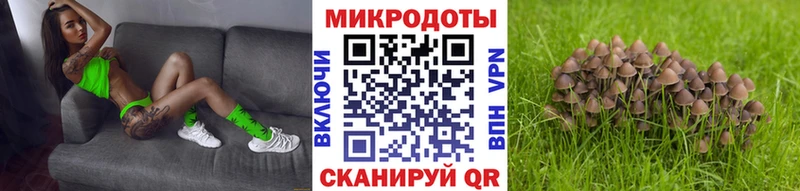 Псилоцибиновые грибы прущие грибы Тогучин